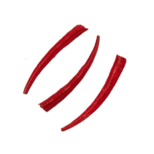 Dentalium Shell Smooth 25g 1in to 1.5in Red Oil Painted/water Resistant