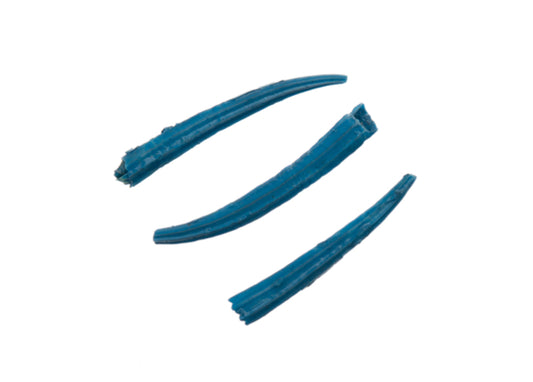 Dentalium Shell Ridged 30g/apx.100pcs 0.5in to 1in Blue Oil Painted/water Resistant