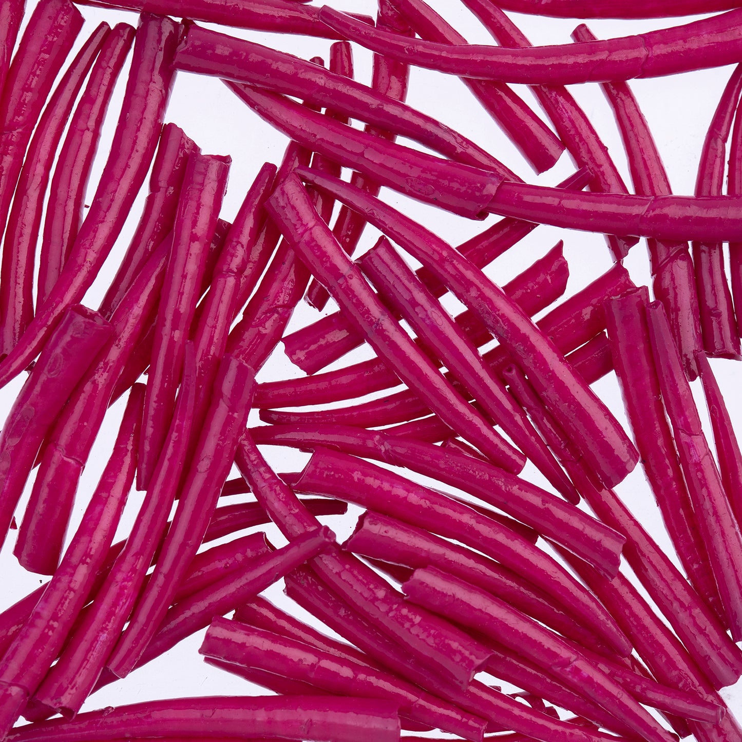 Dentalium Shell Smooth 25g 1in to 1.5in Fuchsia Oil Painted/water Resistant