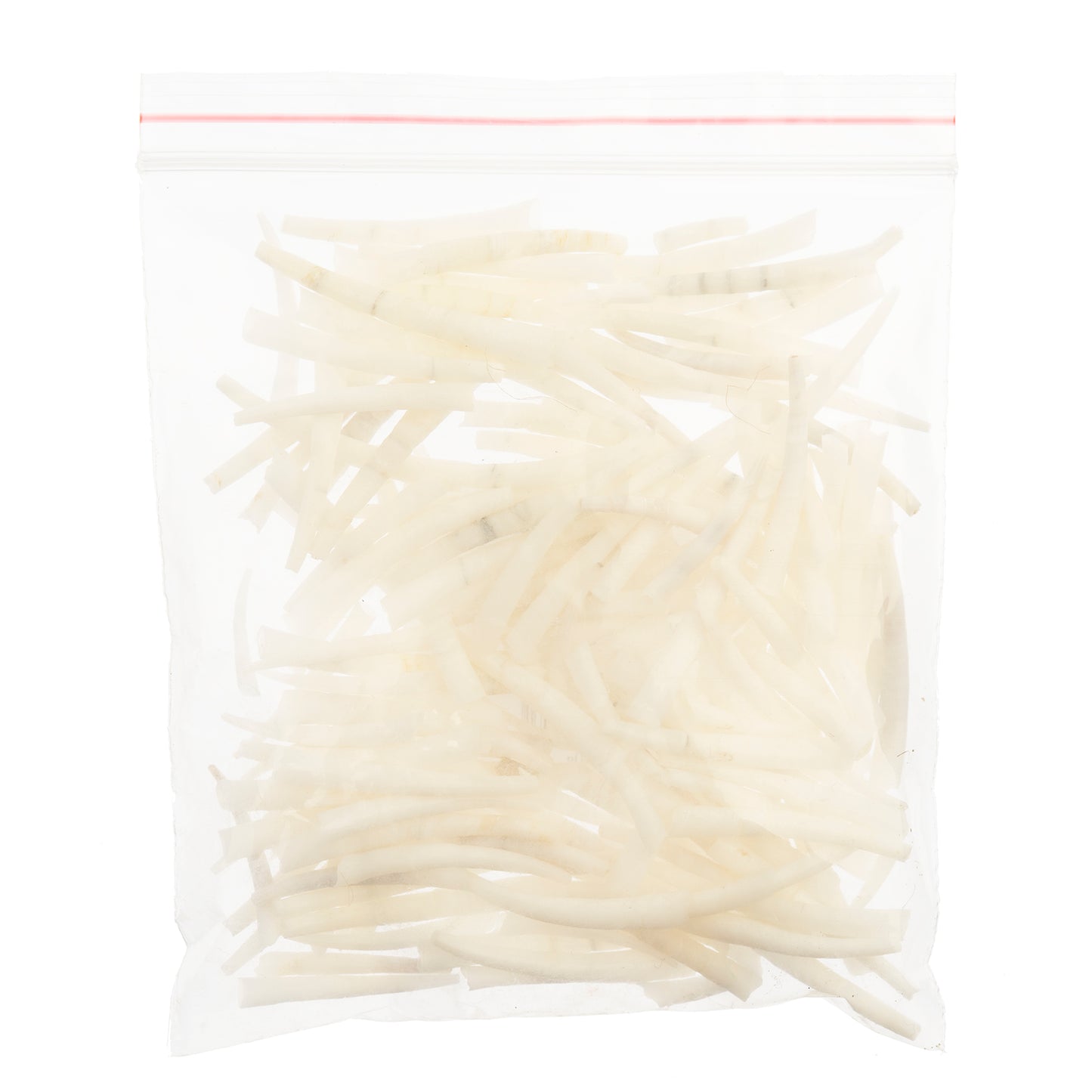 Dentalium Shell Smooth 50g 1in to 1.5in Natural