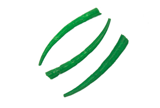 Dentalium Shell Smooth 25g 1in to 1.5in Green Oil Painted/water Resistant