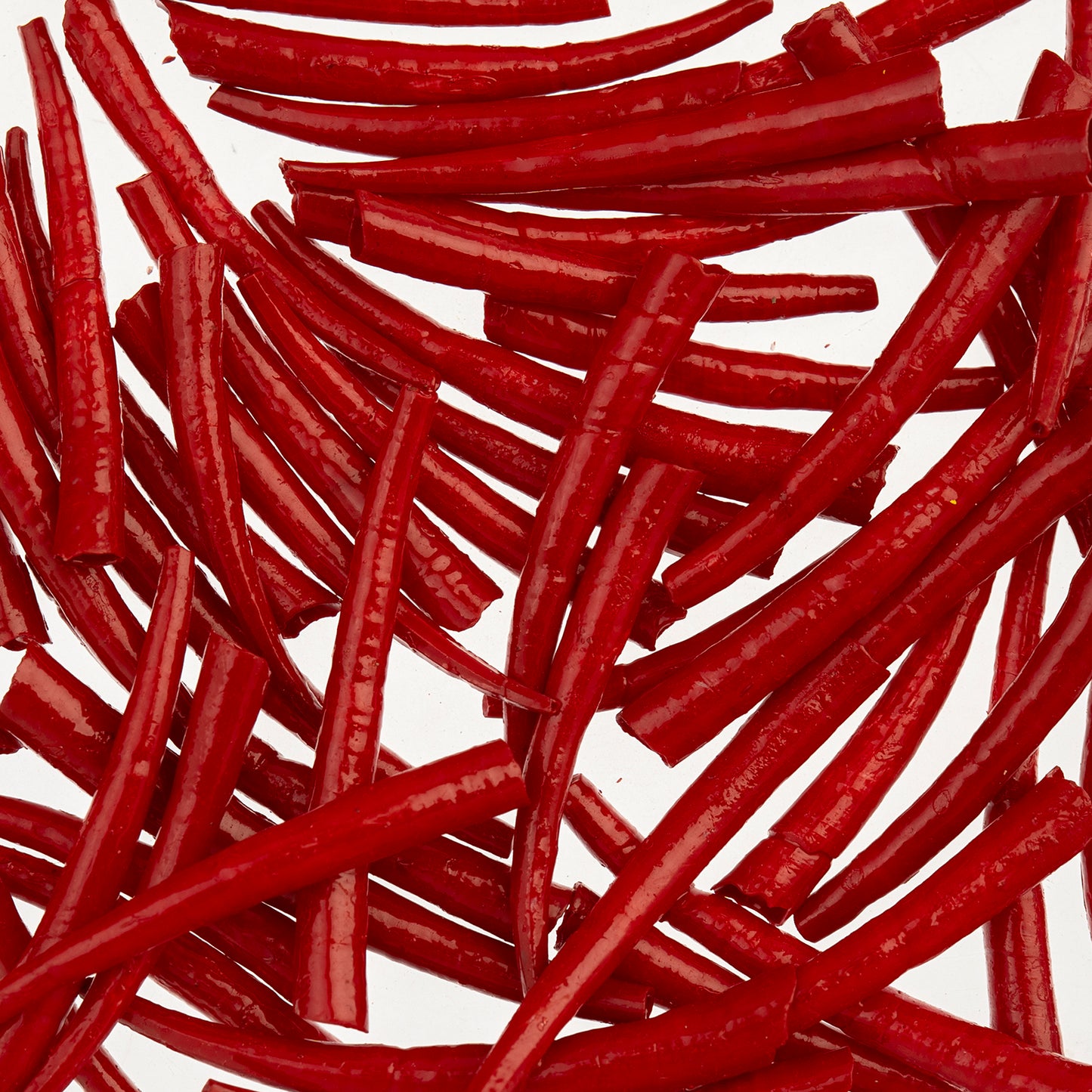 Dentalium Shell Smooth 25g 1in to 1.5in Red Oil Painted/water Resistant