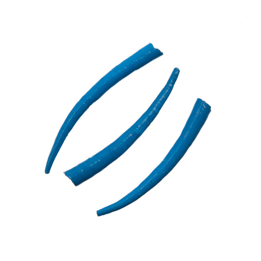 Dentalium Shell Smooth 25g 1in to 1.5in Blue Oil Painted/water Resistant