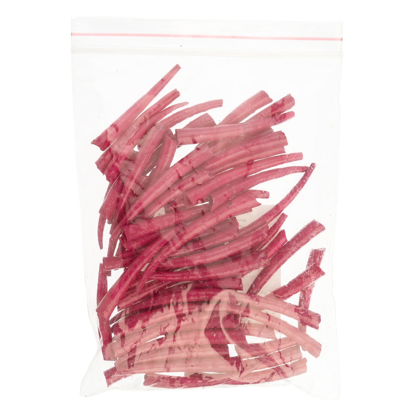 Dentalium Shell Smooth 25g 1in to 1.5in Fuchsia Oil Painted/water Resistant