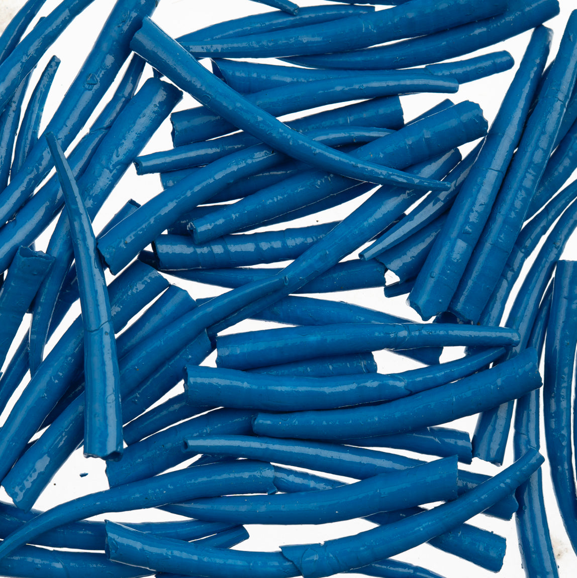 Dentalium Shell Smooth 25g 1in to 1.5in Blue Oil Painted/water Resistant