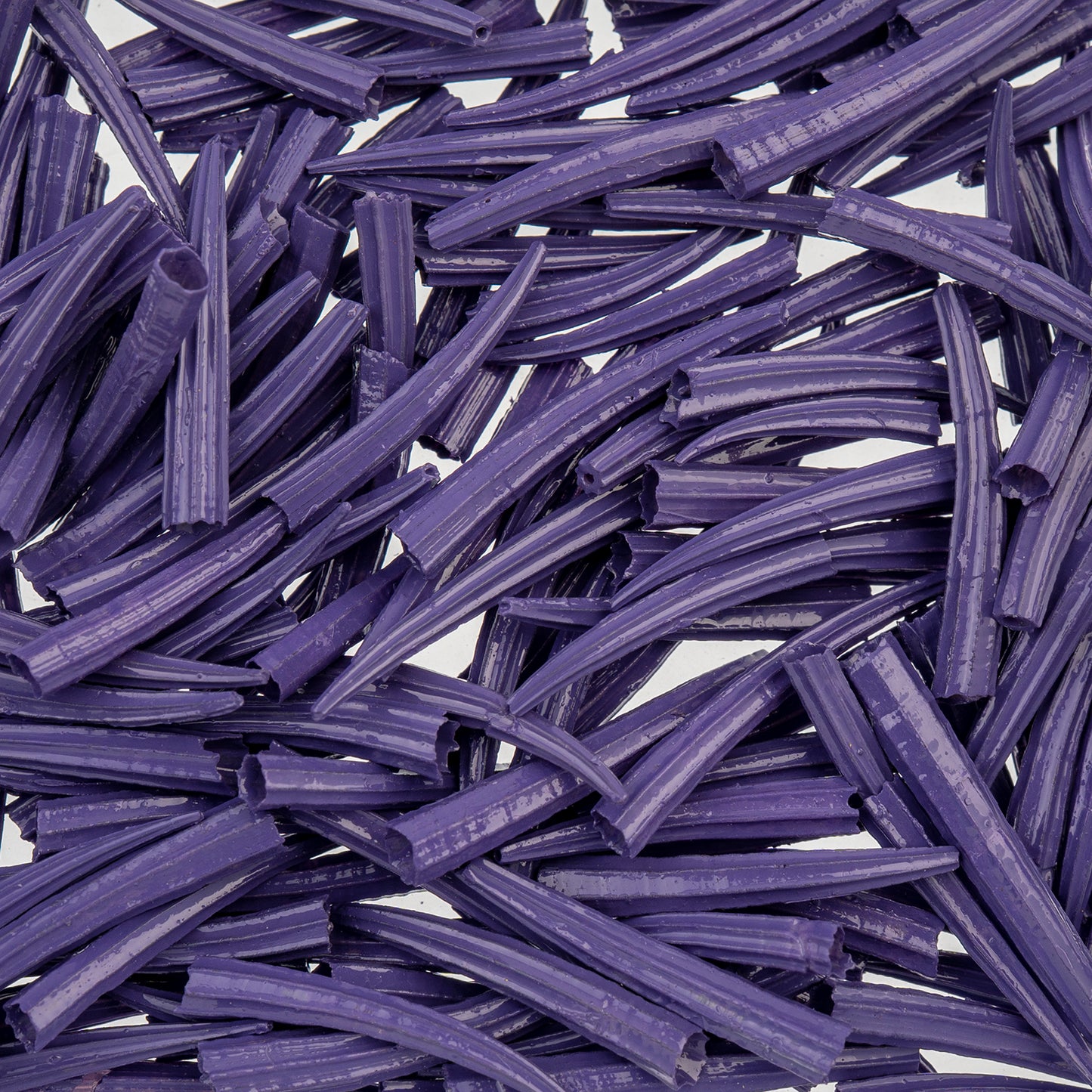 Dentalium Shell Ridged 30g/apx.100pcs 0.5in to 1in Purple Oil Painted/water Resistant
