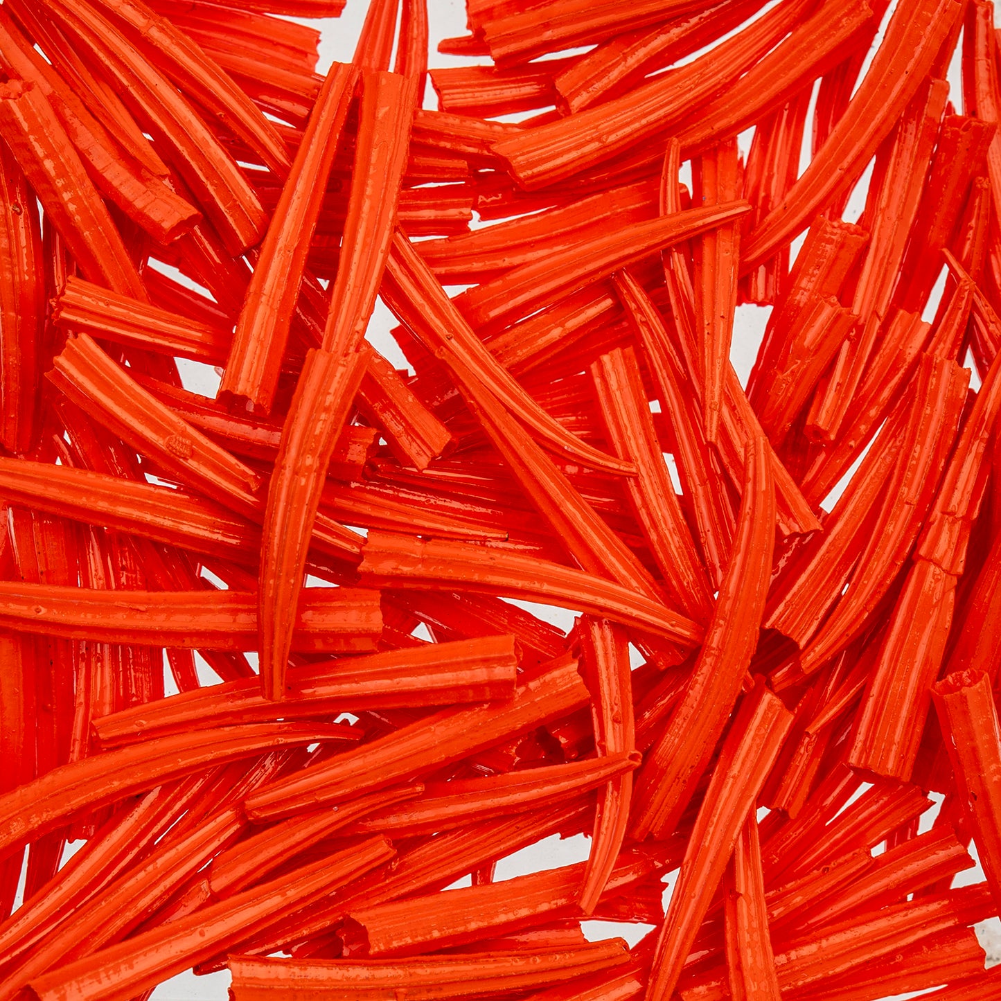 Dentalium Shell Ridged 30g/apx.100pcs 0.5in to 1in Orange Oil Painted/water Resistant