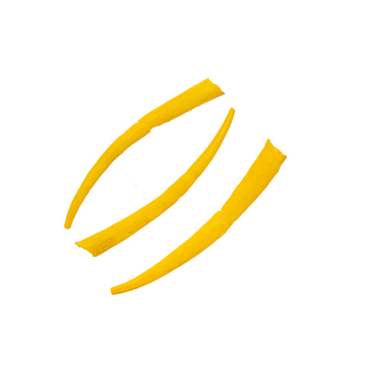 Dentalium Shell Smooth 25g 1in to 1.5in Yellow Oil Painted/water Resistant