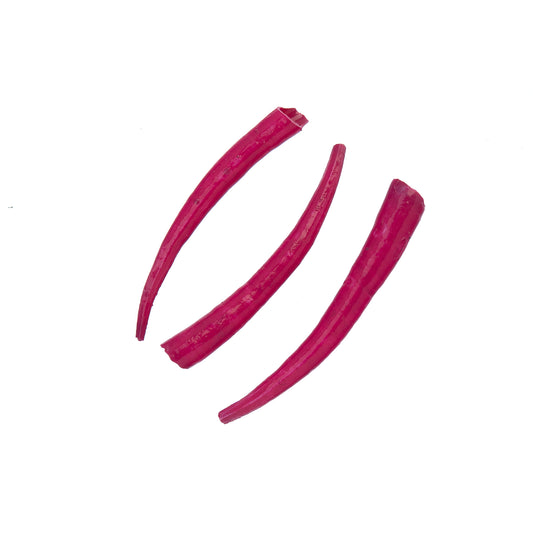 Dentalium Shell Smooth 25g 1in to 1.5in Fuchsia Oil Painted/water Resistant