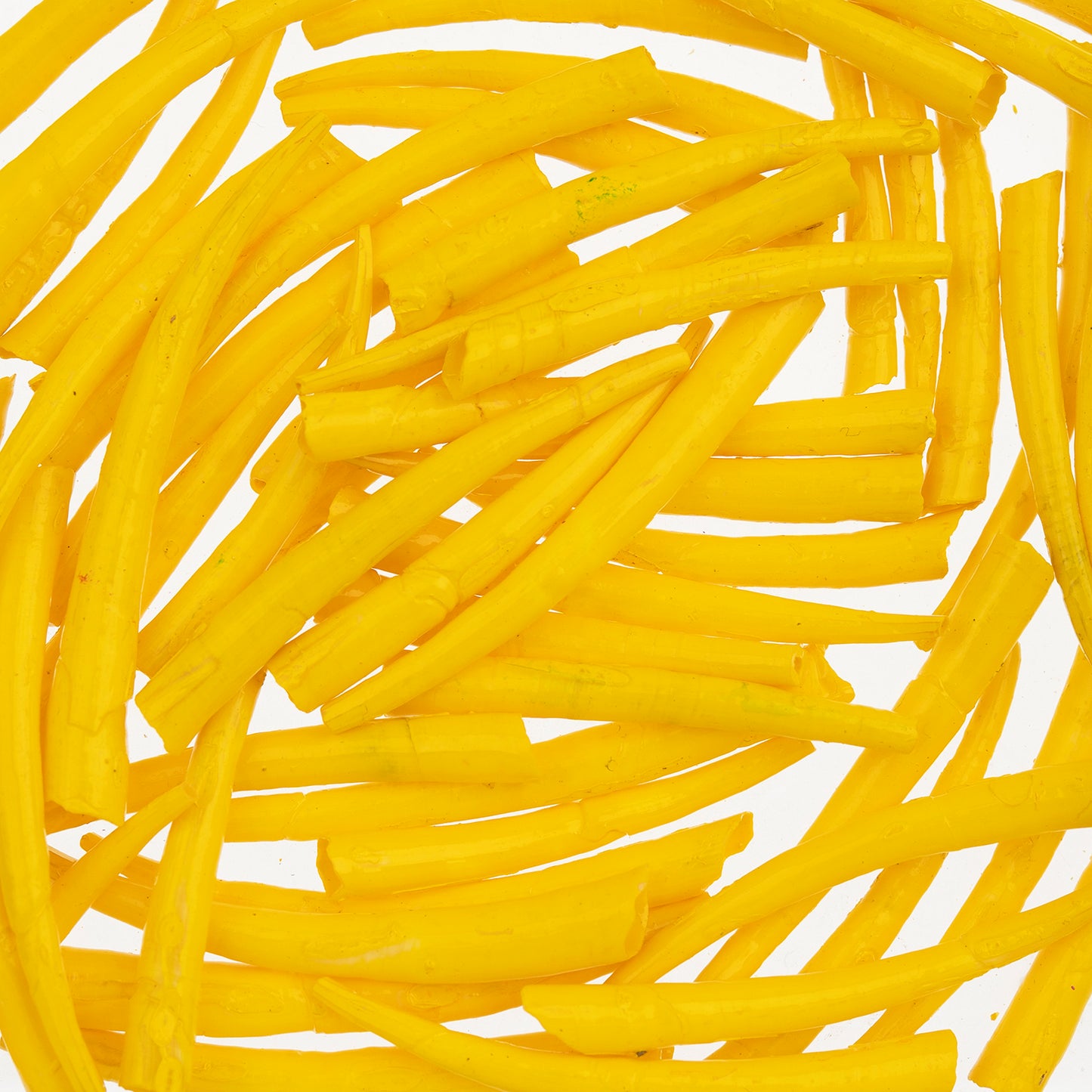 Dentalium Shell Smooth 25g 1in to 1.5in Yellow Oil Painted/water Resistant