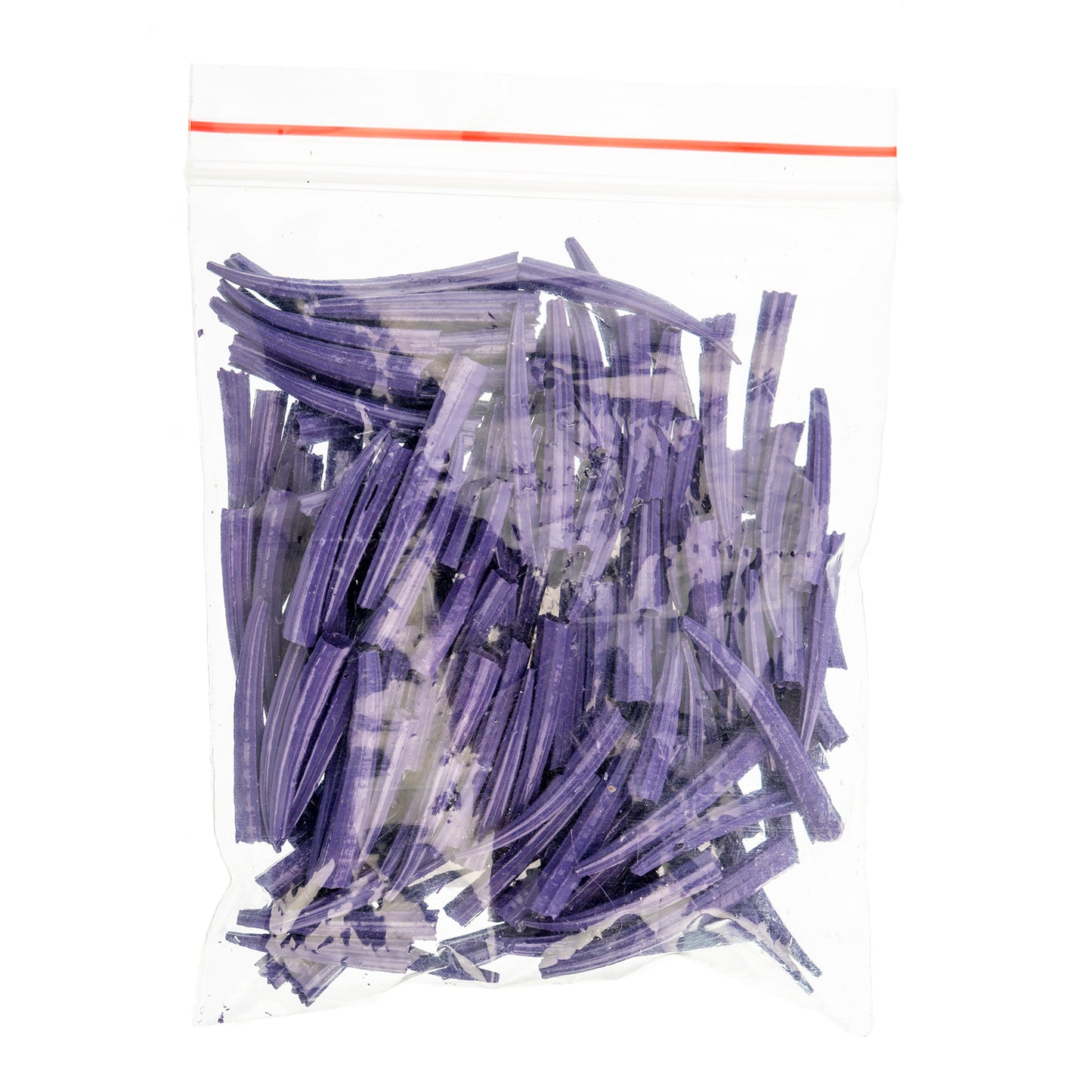 Dentalium Shell Ridged 30g/apx.100pcs 0.5in to 1in Purple Oil Painted/water Resistant