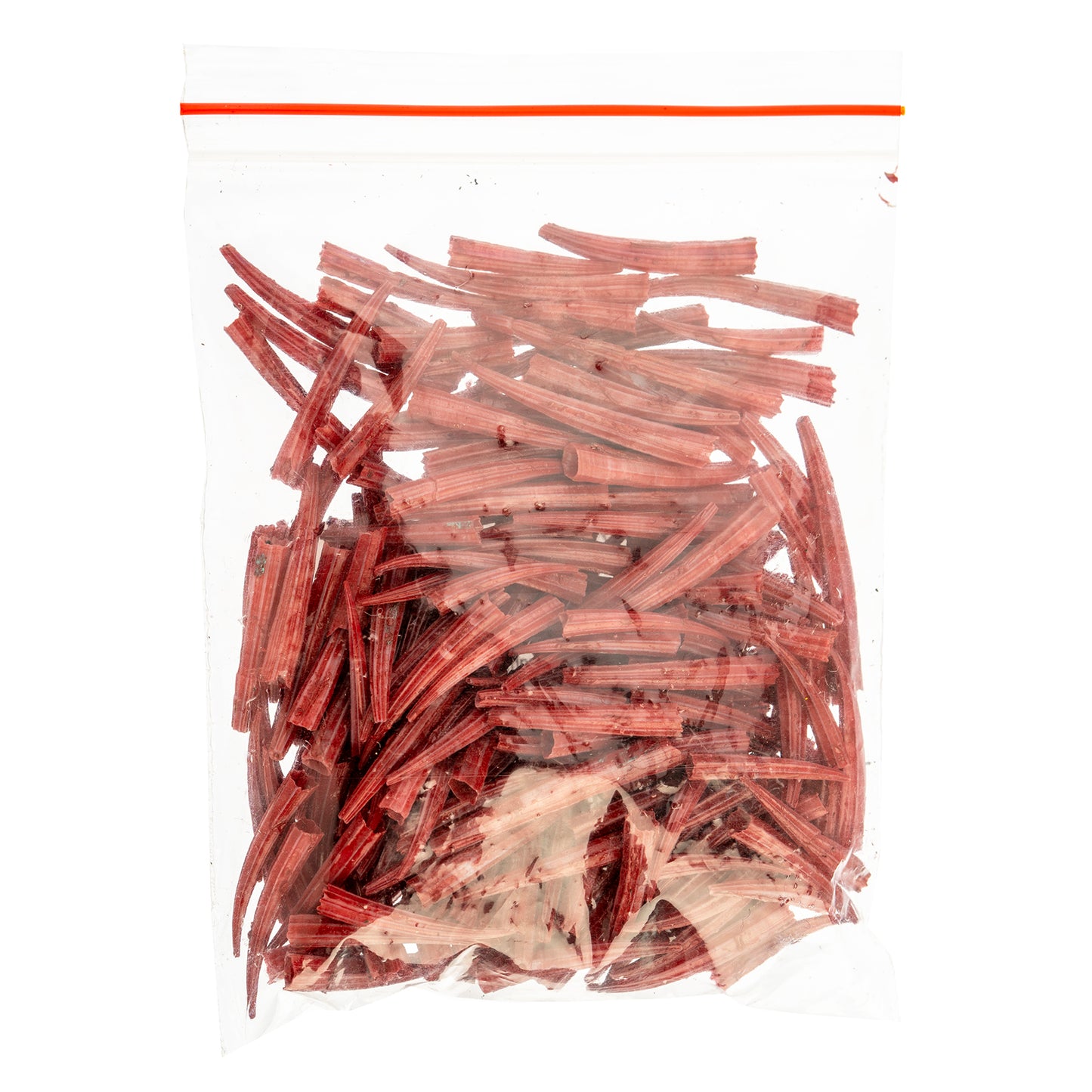 Dentalium Shell Ridged 30g/apx.100pcs 0.5in to 1in Red Oil Painted/water Resistant