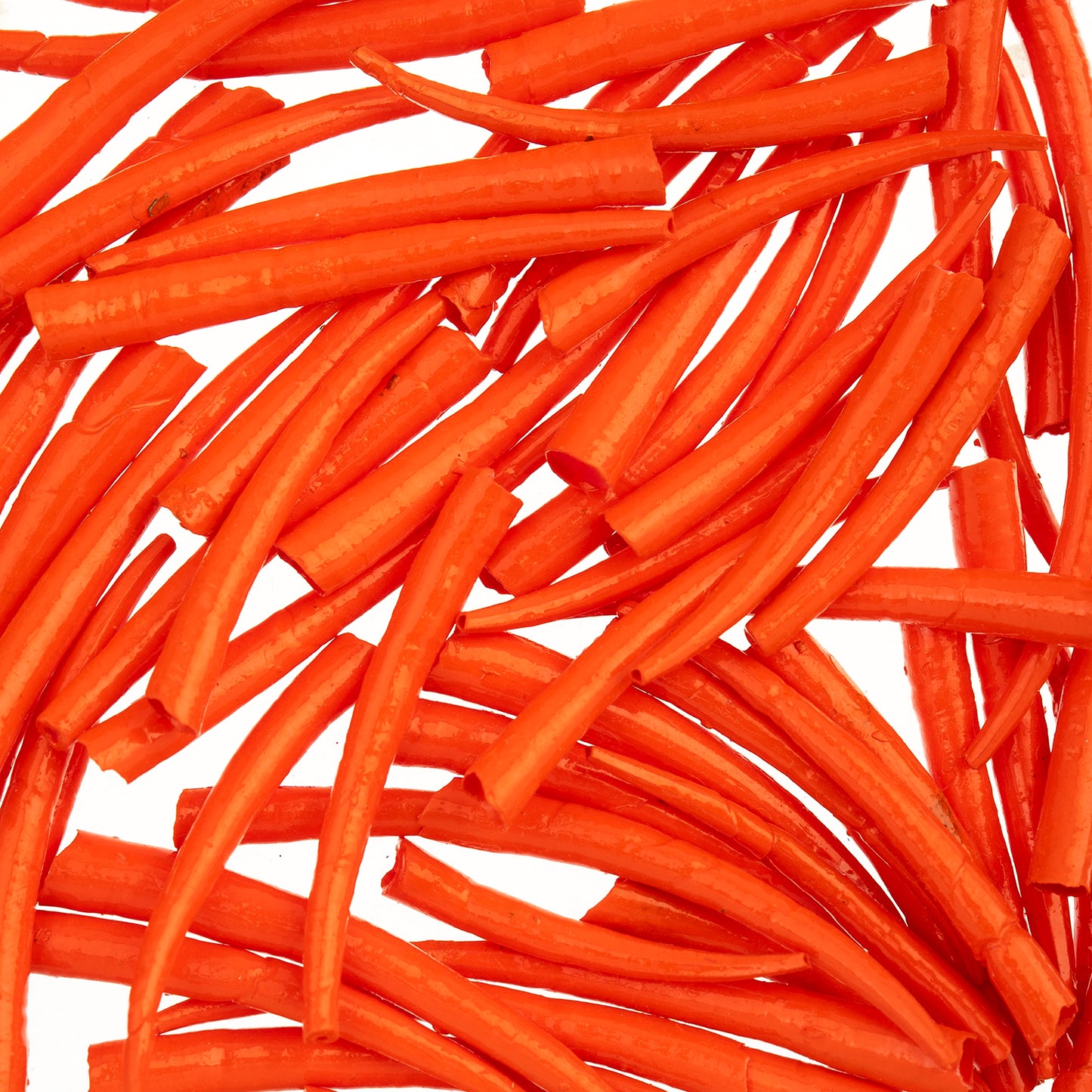 Dentalium Shell Smooth 25g 1in to 1.5in Orange Oil Painted/water Resistant