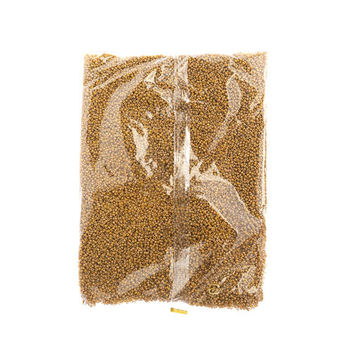 MIYUKI SEED BEAD 11/0 FROSTED GLAZED/ RAINBOW YELLOW MUSTARD MATTE AB