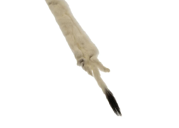 ERMINE FUR SKIN SMALL 12IN APROX WHITE