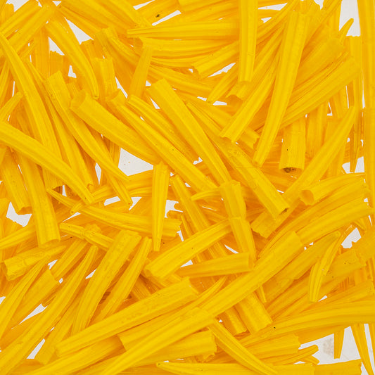 Dentalium Shell Ridged 30g/apx.100pcs 0.5in to 1in Yellow Oil Painted/water Resistant