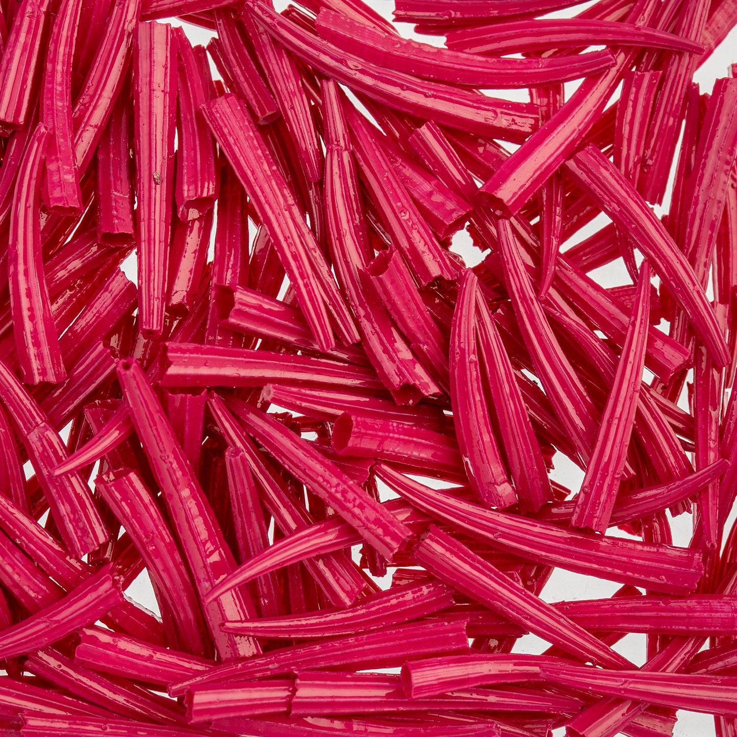 Dentalium Shell Ridged 30g/apx.100pcs 0.5in to 1in Fuchsia Oil Painted/water Resistant