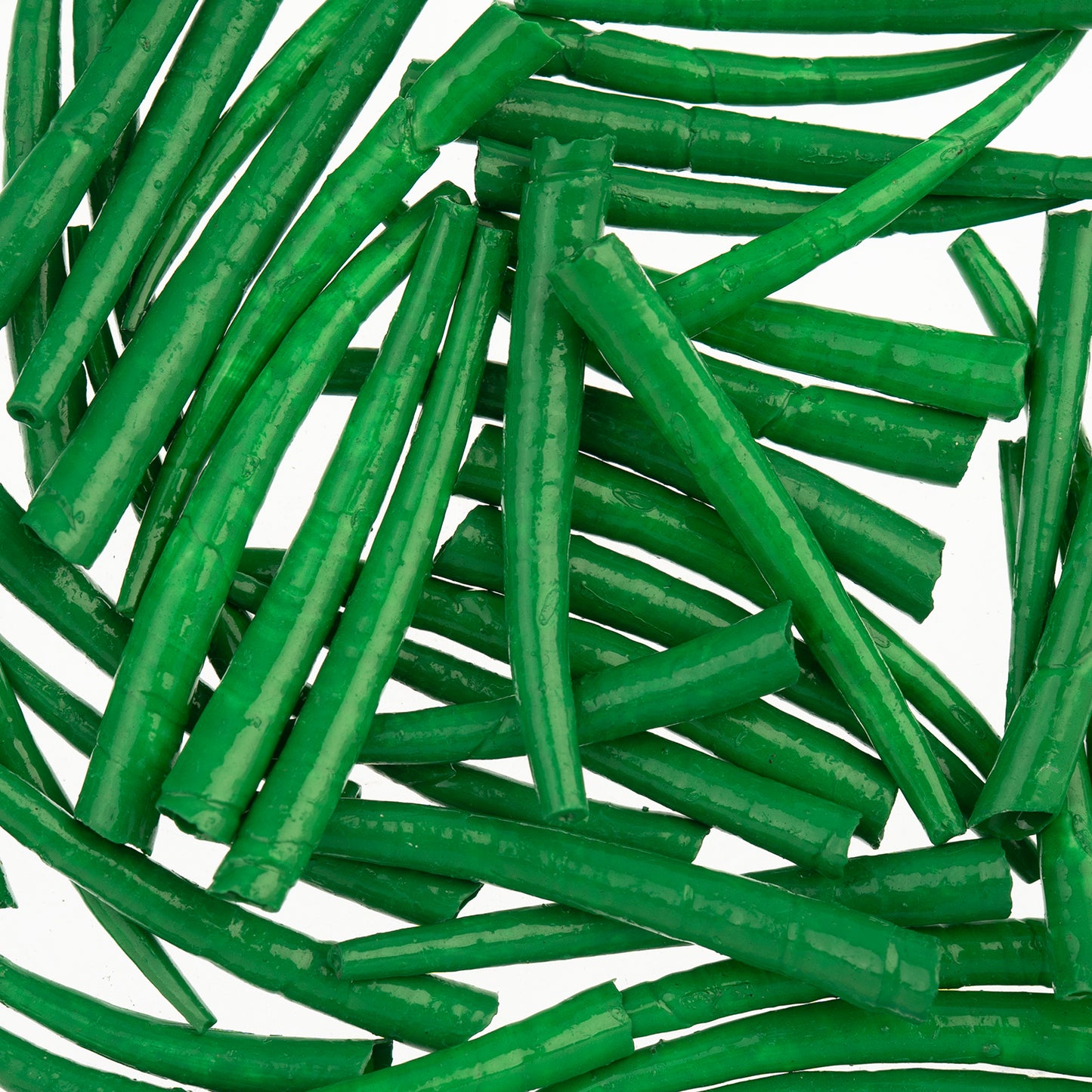 Dentalium Shell Smooth 25g 1in to 1.5in Green Oil Painted/water Resistant