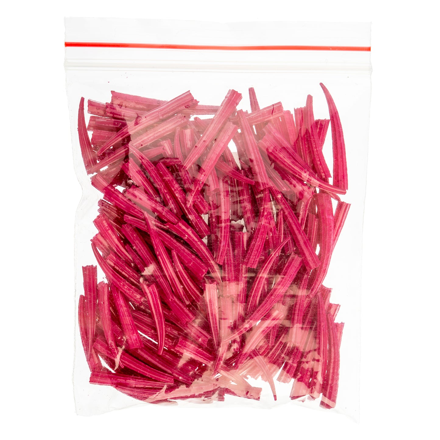 Dentalium Shell Ridged 30g/apx.100pcs 0.5in to 1in Fuchsia Oil Painted/water Resistant