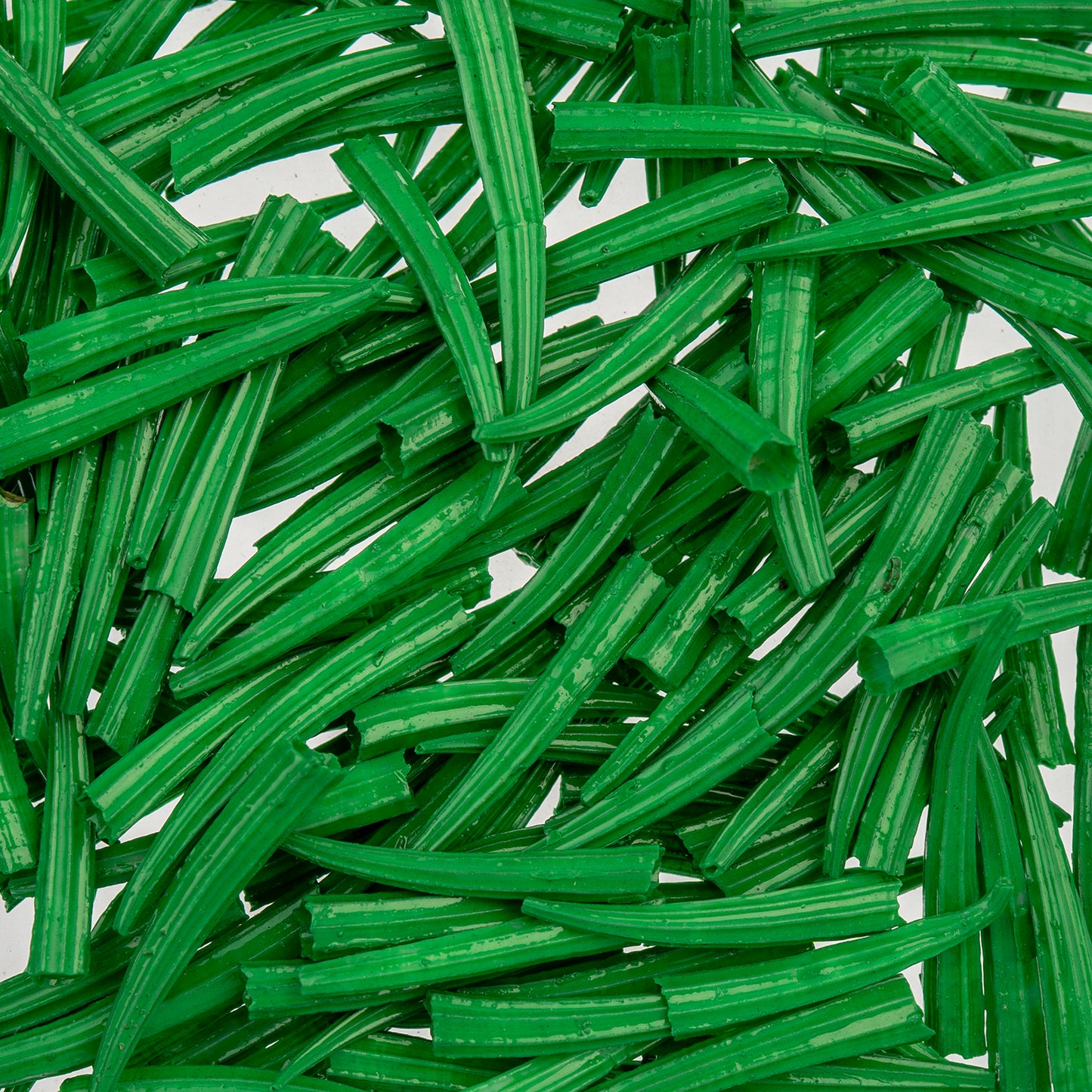 Dentalium Shell Ridged 30g/apx.100pcs 0.5in to 1in Green Oil Painted/water Resistant