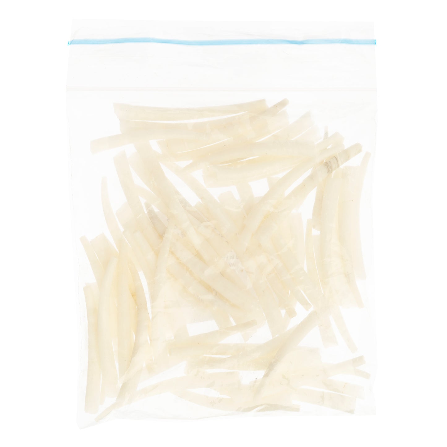 Dentalium Shell Smooth 50g 1.5in to 2in Natural