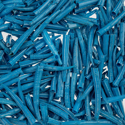 Dentalium Shell Ridged 30g/apx.100pcs 0.5in to 1in Blue Oil Painted/water Resistant