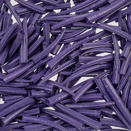 Dentalium Shell Ridged 30g/apx.100pcs 0.5in to 1in Purple Oil Painted/water Resistant