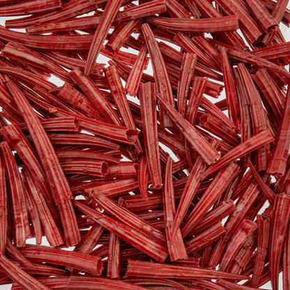 Dentalium Shell Ridged 30g/apx.100pcs 0.5in to 1in Red Oil Painted/water Resistant
