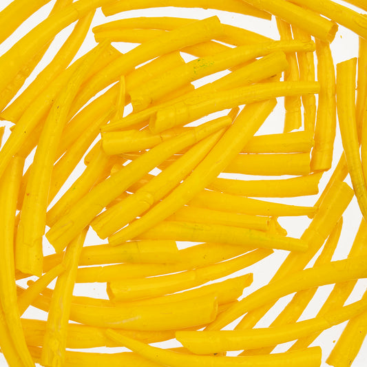 Dentalium Shell Smooth 25g 1in to 1.5in Yellow Oil Painted/water Resistant