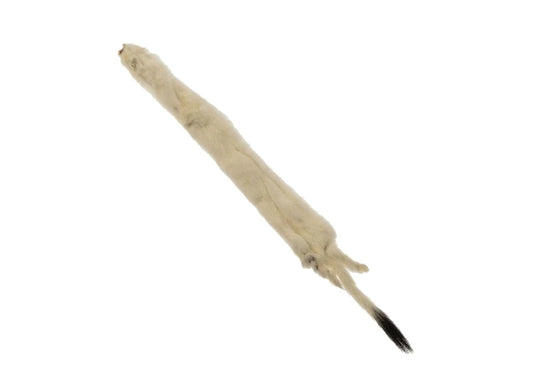 ERMINE FUR SKIN SMALL 12IN APROX WHITE